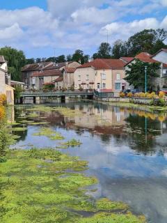 Les Volets Bleus - Gondrecourt-le-Château - 8