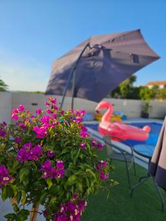 Kuća za odmor Donata - 8