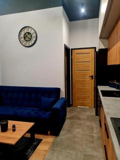 Hola Apartamenty Piotrkowska - Łódź - 9