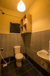 Tropical Horizon by Bastille - 5