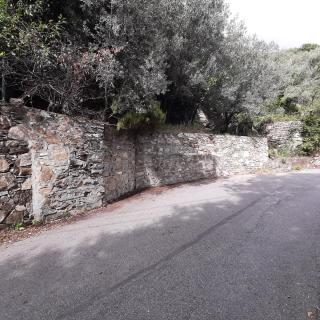 Dal Moro 44 - - 3