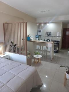 Beautiful and warm apartment in Barrio Norte - 6