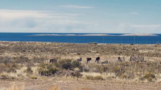 Casona Islas Blancas - 7