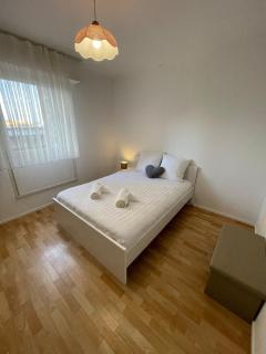 Appartement bambou - Vandoeuvre-lès-Nancy - 8