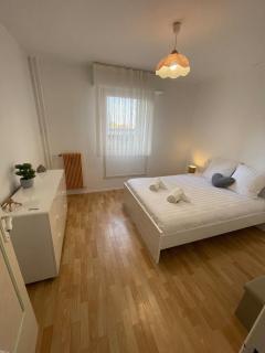 Appartement bambou - Vandoeuvre-lès-Nancy - 7
