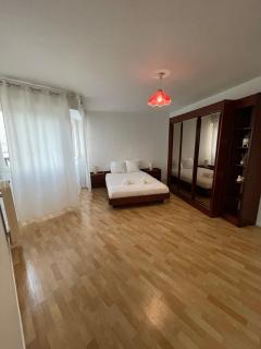 Appartement bambou - Vandoeuvre-lès-Nancy - 5