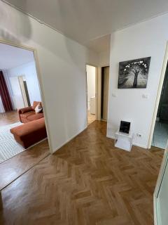 Appartement bambou - Vandoeuvre-lès-Nancy - 3