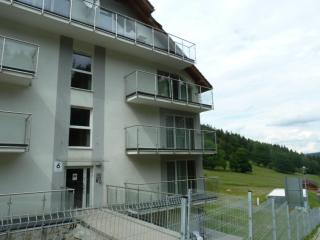 Apartament Czarna Góra - 0