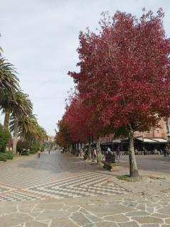 Paseo de Noia - Noya - 2