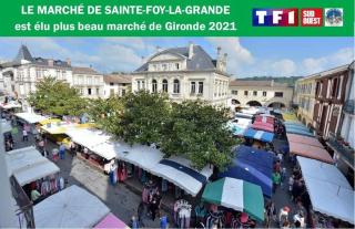 Appartement cosy avec terrasse - 4