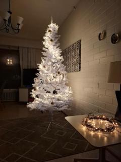 Marttiini3 apartment - 6