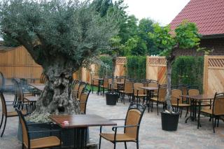 Landgasthaus Hotel Wolters - Kerken - 5