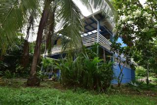 Casita Caribe - Cahuita - 4