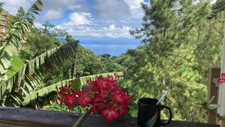 Adorable guestroom au cœur de la verdure - Papeete - 7
