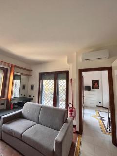 la gerbera - 1