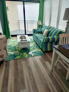 Bikini Bottom - Panama City Beach - 4