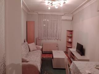Djordje - Novi Sad - 7