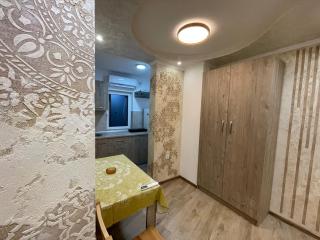 Apartman 911 - Soko Banja - 4