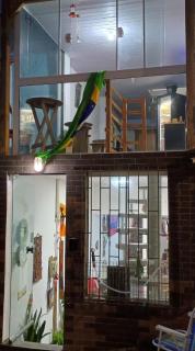 Casa Jardim Ingleses - 6