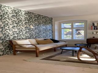 Villa in Javorek near Zlamanec Park -  - 1