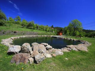 Villa in Bý ovec near Harusak Ski Resort - 3
