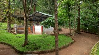 Water lily homes - Anachal - 5