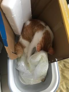 Richfield House with Private Pool for Pet Lovers - 3