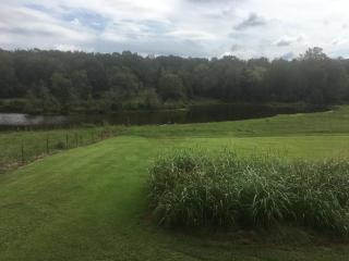 cozy, quiet, rural hideaway close to everything1 - Sherwood - 9
