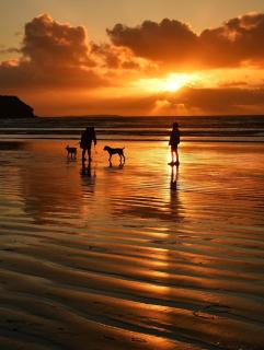 Peaceful bliss 200 meters from the beach - Rossnowlagh - 8
