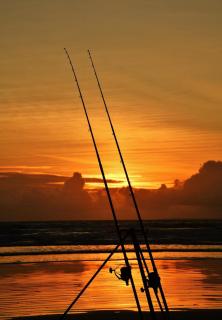 Peaceful bliss 200 meters from the beach - 4