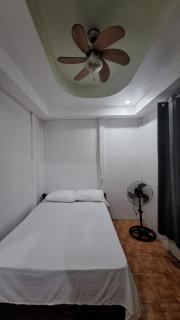 Casa Palmera - Puerto Jiménez - 9