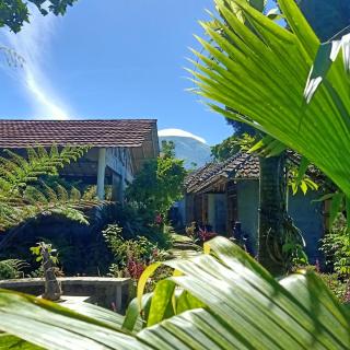 Pondok Bamboo Sendangsari - 0