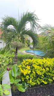 Kubu Selonding Villa - 4