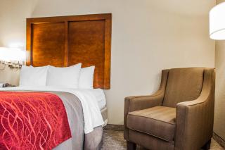 Comfort Inn Marshalltown South - Marshalltown - 3