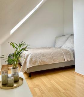 Whirlpool im Herzen des Jugendstilviertels - Chemnitz - 5