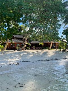 Tumbuh Oasis - Letman - 0