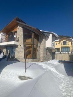 Cozy cottage in Bakuriani - 0