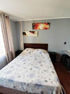 Gran Santiago Apart ESTUDIO 1 AMBIENTE - Santiago - 2