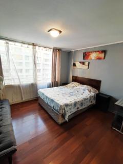 Gran Santiago Apart ESTUDIO 1 AMBIENTE - Santiago - 1