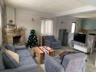 Cozy cottage in Bakuriani - 8