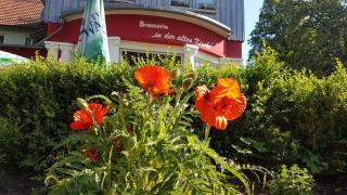 Hotel Kapelle Bed & Breakfast - Bad Liebenstein - 9