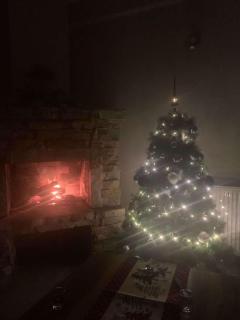 Cozy cottage in Bakuriani - 3