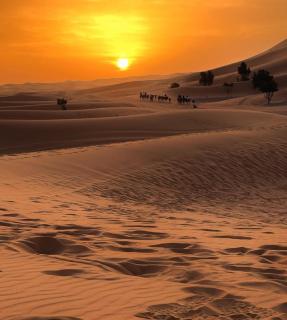 Merzouga Desert Campsite &Activities - Merzouga - 9