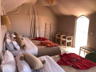 Merzouga Desert Campsite &Activities - Merzouga - 7