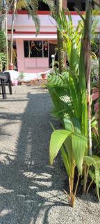 Rock View Palace Lighthouse Beach Resort - Trivandrum - 4