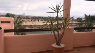 Hakuna Matata, Condado De Alhama - Alhama de Murcia - 8