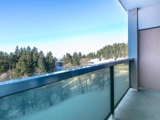 Le Vernon N 406 - ST5 - Chamrousse - 1