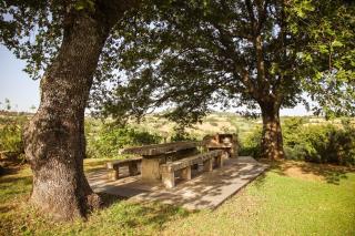 Bio Agriturismo Poggio Aione - 1