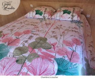 Graine d'insolite - - 1