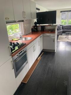 Nice chalet at Veluwe - Epe - 3